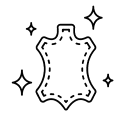 Leather Dedusting icon